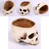 Premium Resin Human Skull Head Design Flower Pot Planter For Unique Home Decor
