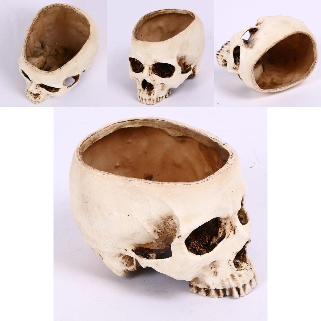 Premium Resin Human Skull Head Design Flower Pot Planter For Unique Home Decor