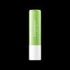 Chando Tea Extract Lip Balm