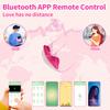 Wearable Bluetooth APP Vibrator for Women Wireless Remote Control Vibrating Egg Clitoris Stimulator Female Sex Toys for Couples