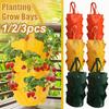3/2/1PCS 3 Gallon Strawberry Planting Bag PE10 Mouth Flower Planter Pouch Color Hanging Fruit Plant Pot Gardening Seedling Hanging Bag