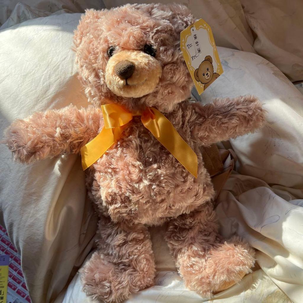 [USED] Daiso's teddy bear backpack