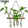 1pc Propagation Tubes Wall Hanging Planter Terrarium with Wooden Stand Mini Test Tube Flower Vases Retro Hanging Glass Planter Propagator