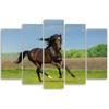 Five Piece Picture Canvas Print Horse Gallop Meadow