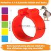 1.6cm 01~50 Chicken Foot Ring Turkeys Quail Foot Ring Easy Install & Remove Manually Poultry Carry Foot Ring 50/100 Pcs