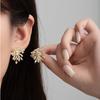 Fireworks Stud Earrings Women'S Light Luxury Niche High-End Autumn And Winter Temperament Earrings Niche Unique Design Ear Jewelry