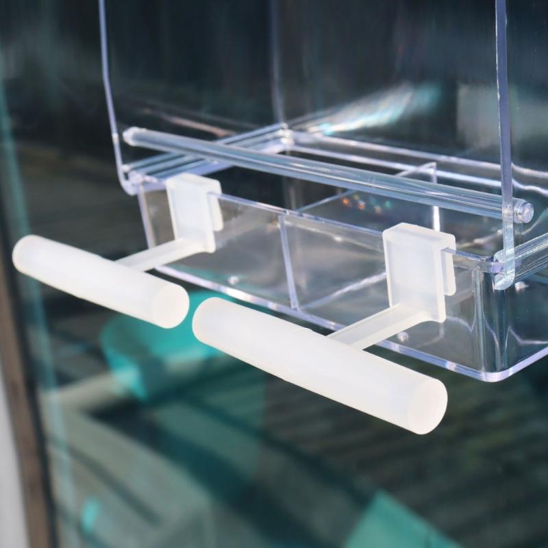 Plastic Perch Birdcage Training Stand Accessory Clip to Window Feeders for Budgerigar Parakeets Lovebird 6-Piece Set