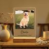 Personalized Custom Photo Pet Memorial Keepsake Sympathy Condolence Remembrance Gift In Loving Memory Of Beloved Dog Cat Meaning
