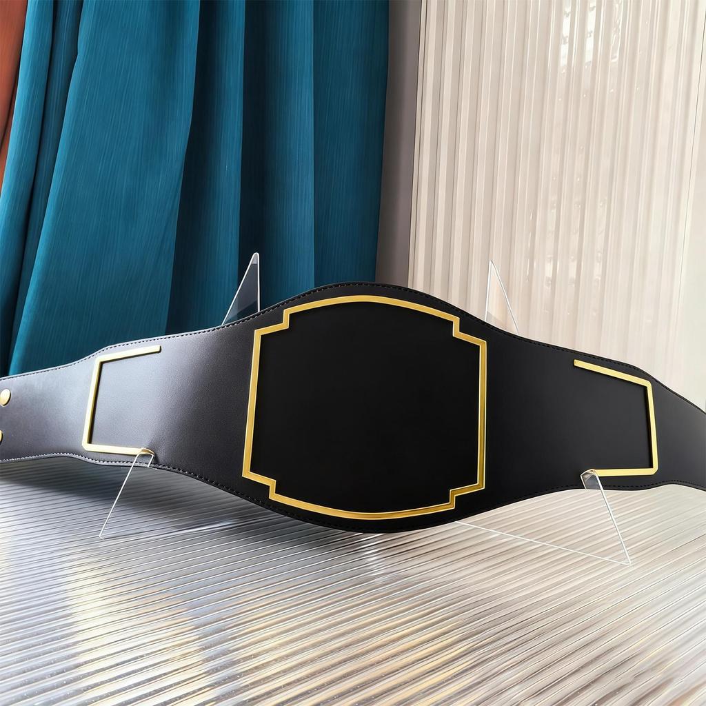 Plate Display Stands Foldable Acrylic Belt Holder Plate Stands for Display for Wrestling Picture Photo Painting Craft Book