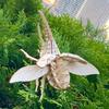 Make Your Own Pocket Bugs Hercules Beetle Instruction Manual (Japanese Included)