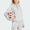 Adidas Tiro 24 Sweat Hoodie With Three Stripes And Fleece Long Sleeve Women Tops Grey IR7509