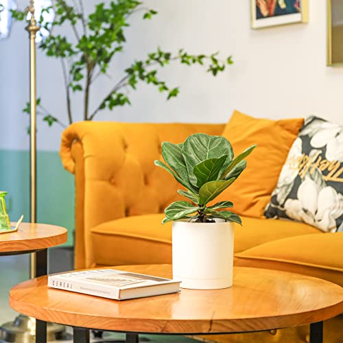 T4U Plastic Planter Set of 4 with Saucers, 10/12.5/15/17.5cm, Multiple Drainage Holes, Round, Modern Design, Suitable for Indoor and Outdoor Plants, H