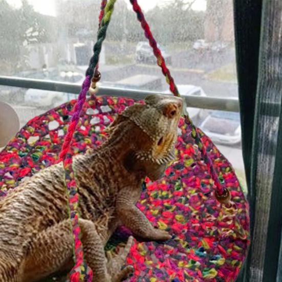 Reptilien Hängematte Handgewebt Stark Belastbar Gecko Eidechse Schaukel Spielzeug Rund Bartagame Schaukel Hängebett