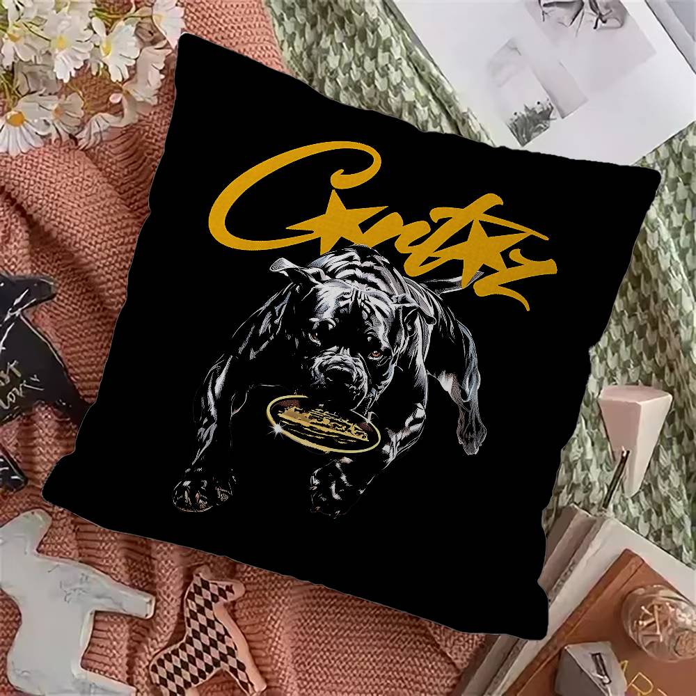 CCorteizS Cushion Cover Polyester Sofa Cushions Decorative Throw Pillows Home Decoration Pillowcover