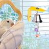 1PC Parrot Bell Toys Birds Chewing Hanging Swing Cage Toy Bite Accessories Parakeet Beads Cockatiel Play Pet Bird Supplies