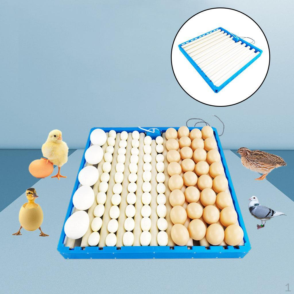 Automatic Incubator Electronic Household 220V Small Egg Turner for Duck Quail Goose