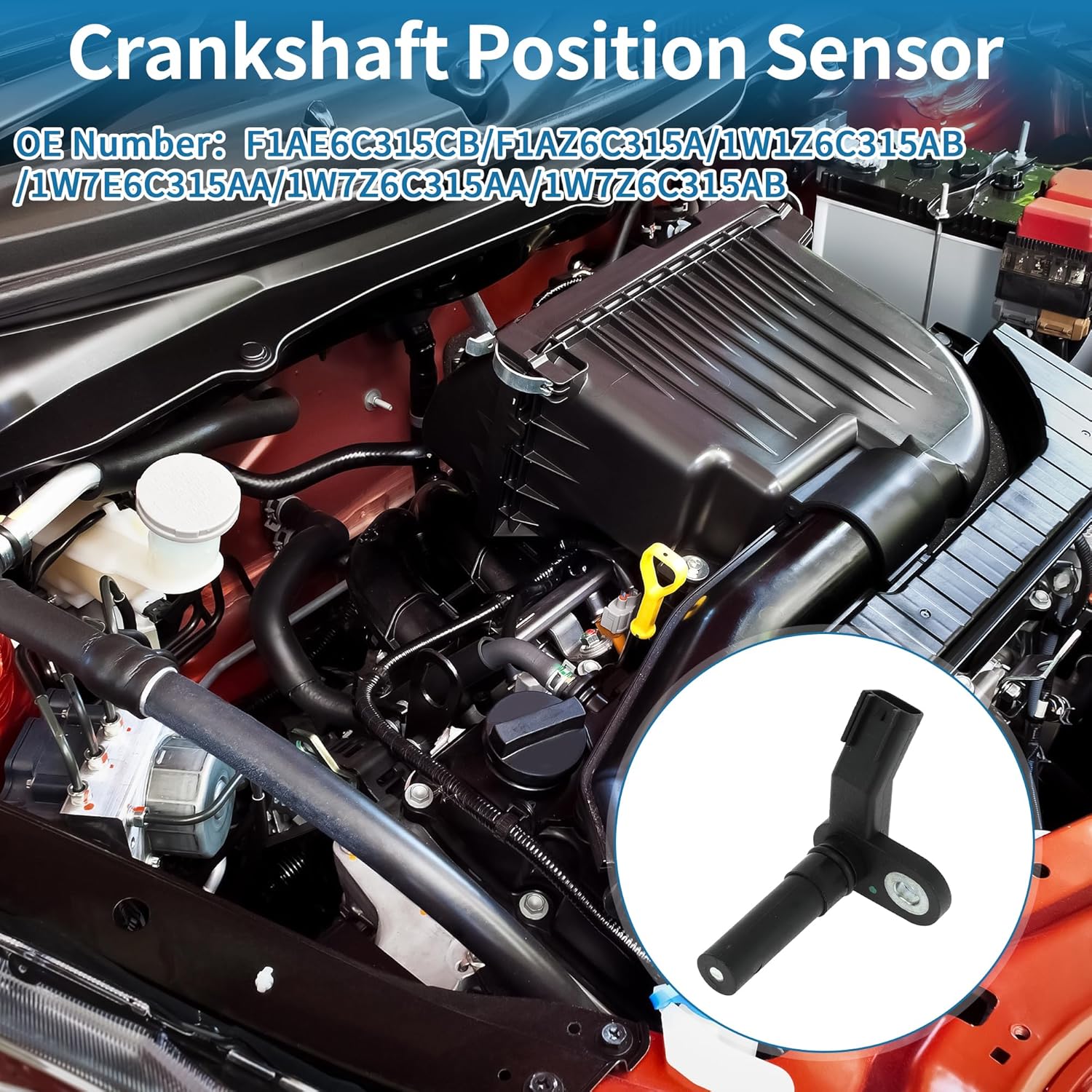 

Crankshaft Position Sensor No.F1AE6C315CB Crank CKP Sensor for Ford for Mustang GT 4.6 1996-2010 Metal Plastic Black Sturdy