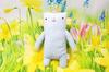 Shinada Global Morobo Blue 10 X 5 X 20 Cm Plush Toy Animal Goods Fumofumo-san (M) FFR-0078B