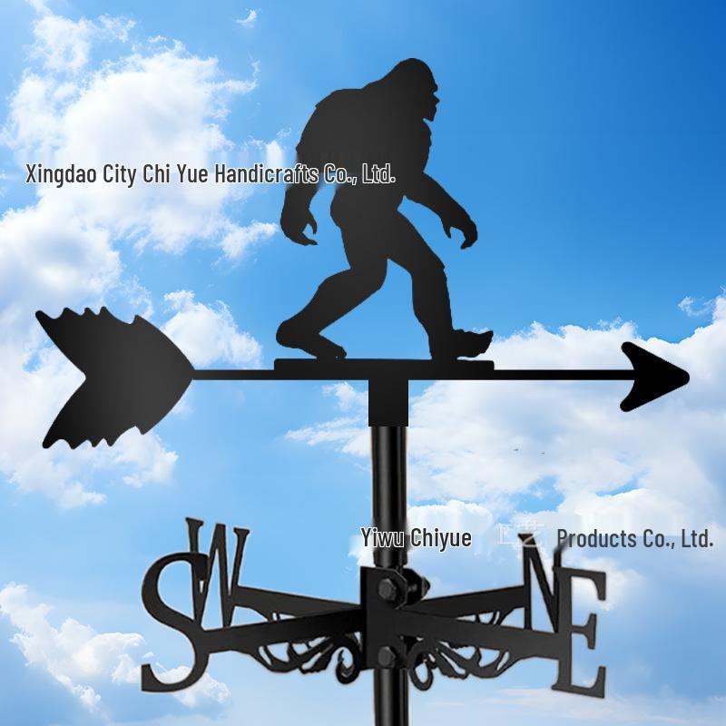 Weather Vane Ornament: Outdoor Wrought Iron Spray-Painted Roof Decoration Metal Craft