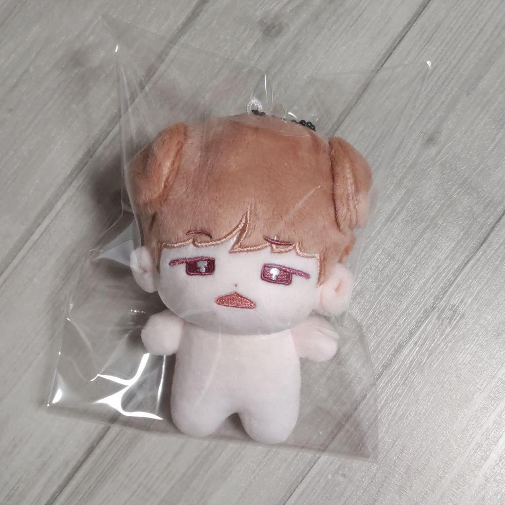 [USED] Stray Kids Seungmin Master Plush Toy 10cm