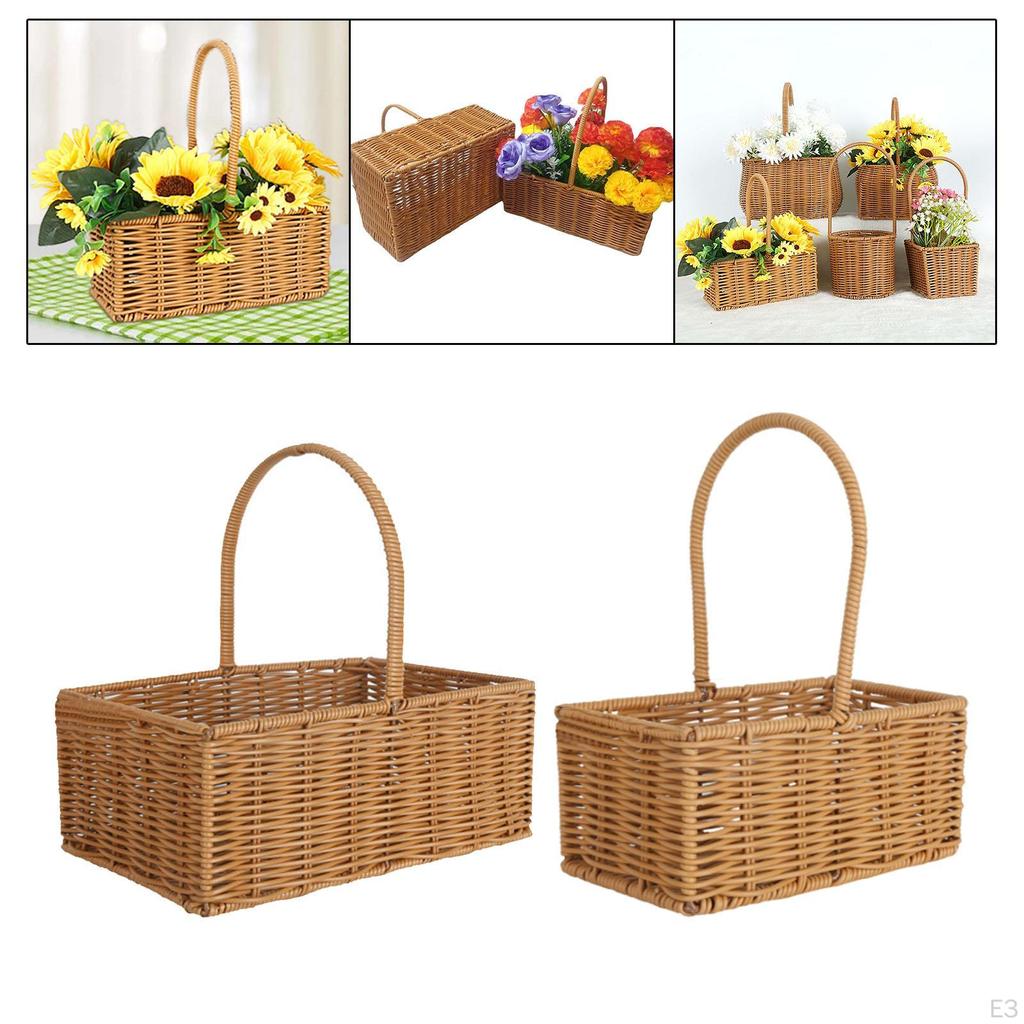 Elegant Fruit Basket Organizer for Home And Kitchen