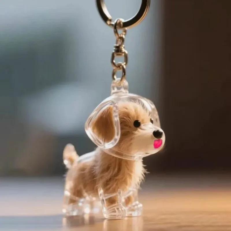 Dog Hair Storage Box Keyring Puppy Hair Memorial Keepsake Capsule Pet's Dog Fur Container Transparent Capsule Keychain Souvenirs