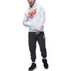 Jordan Pullover Herren Grau Mit Kapuze Moderat Regular FD2391-051