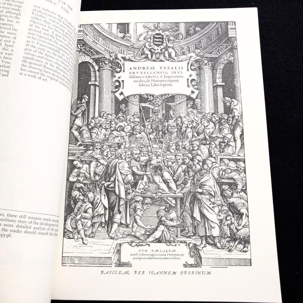 [USED] Andreas Vesalius Anatomical Illustrations, Illustrations from "Vesalius