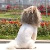 Soft Pet Lion Hat Breathable Cat Wig Hat Lion Mane Wig Cap Hat  Cosplay Party
