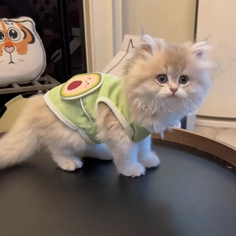 Cat Clothes Cute Summer Avocado Outfit Dress Up For Persian Cat Siamese Kitten Platinum Gradual Layer Cat Change Accessories