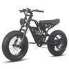 Electric Bicycle FAFREES F20 Ultra 20" 750W Motor Electric Bike Adult Top Speed 40Km/h 48V 25AH Range 140Km Load 180Kg