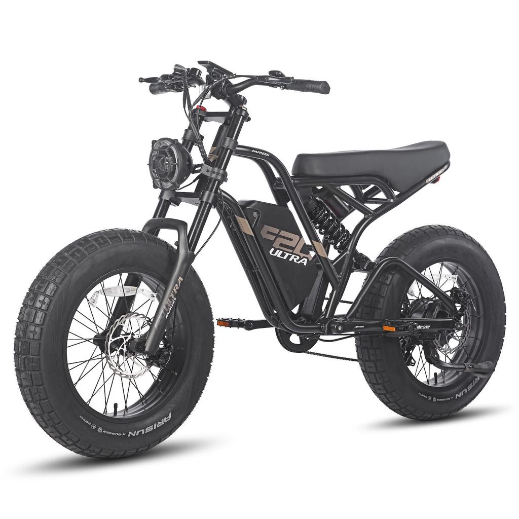 Electric Bicycle FAFREES F20 Ultra 20" 750W Motor Electric Bike Adult Top Speed 40Km/h 48V 25AH Range 140Km Load 180Kg