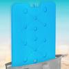 Cooling insert for a portable refrigerator, flat set of 2, 900 g