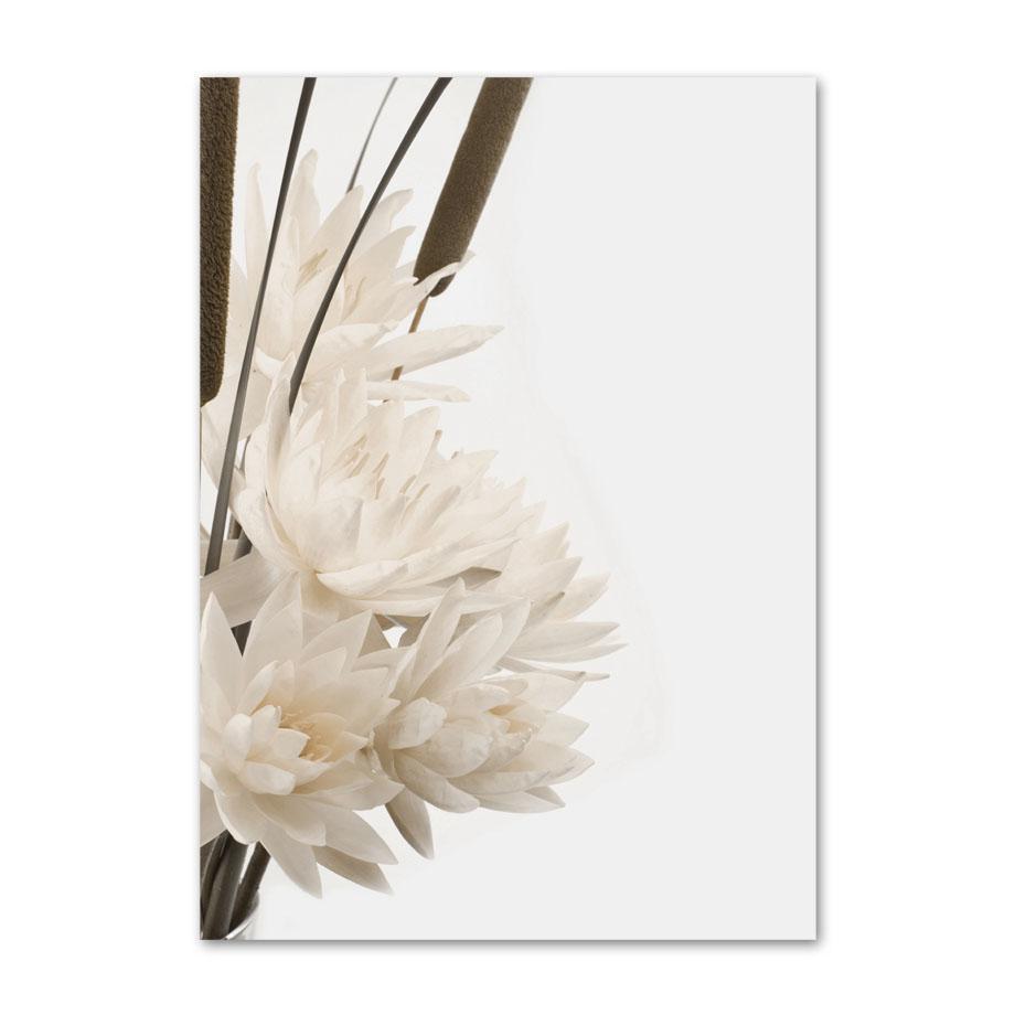 Beżowy plakat z krajobrazem mniszek lekarski ogon trzciny kwiatowej liść ścienny drukowany obraz na płótnie obrazy ścienne salon Home Decor