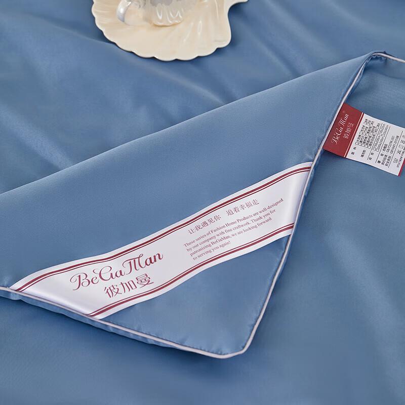 BGM-B2409 All-Season Comforter