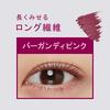 ettusais Eye Edition Rich Style 02 Burgundy Eyelash Makeup Waterproof 6g (Mascara Base) Pink, Base, Formula,