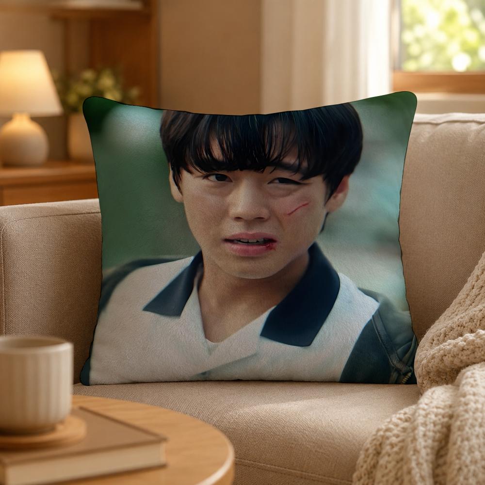 Series Weak Hero Class One Cushion Cover Personalized Short Plush Cushion Cover Sofa Pillowcase Bedroom Home Decor Gift