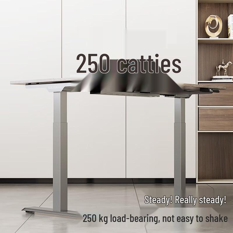 Loctek E3 Electric Smart Standing Desk