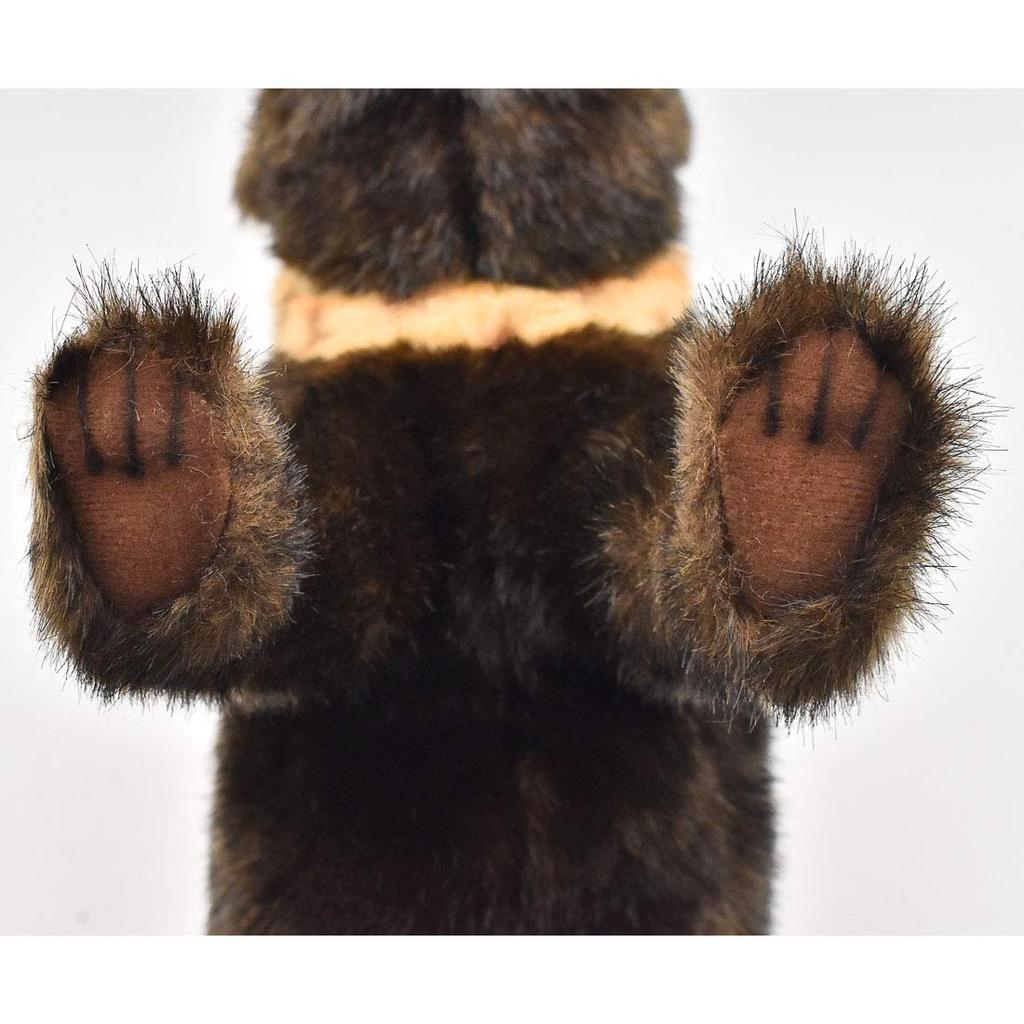 Malayan Sun Bear No. 5234