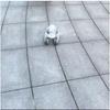 Interactive Electronic Pet Robot Dog for Kids – Early Education Toy and Gift