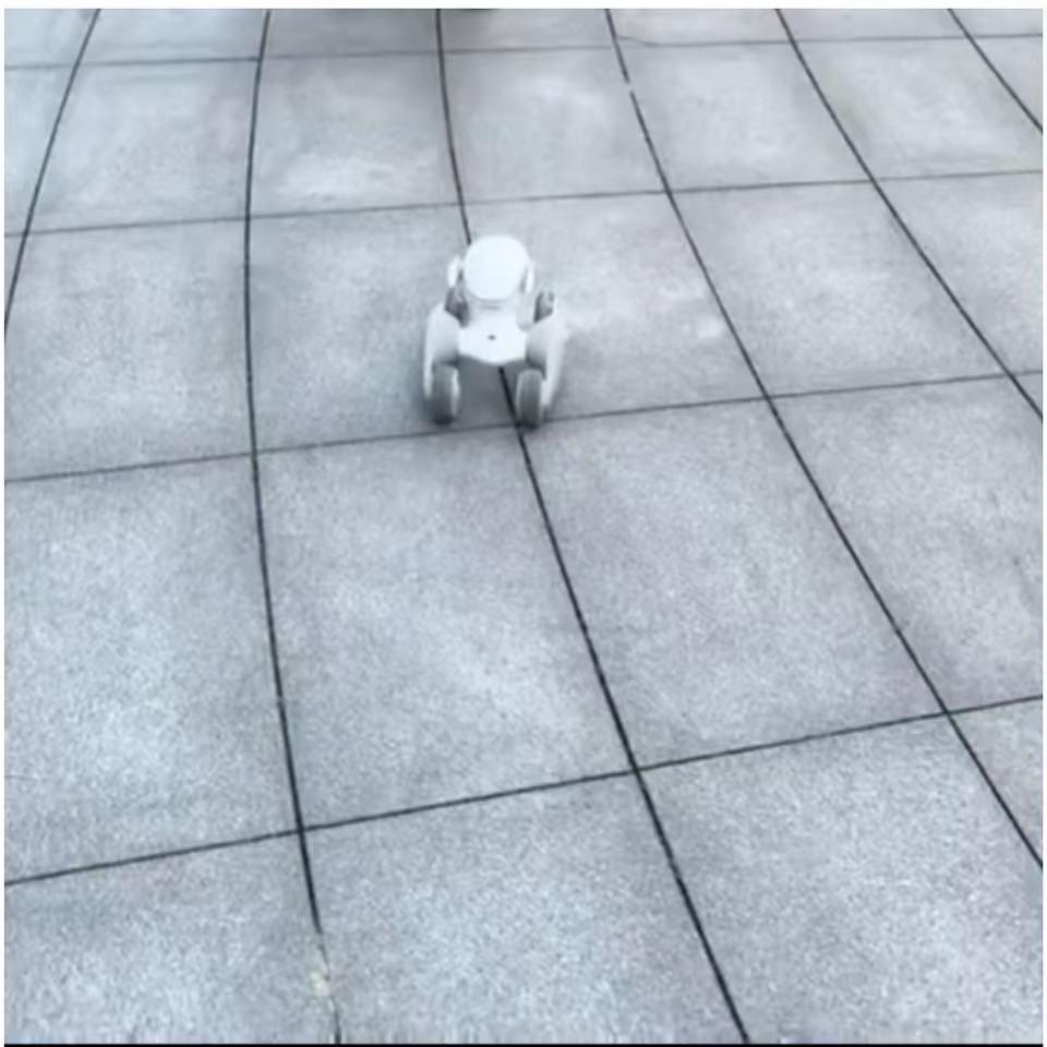 Interactive Electronic Pet Robot Dog for Kids – Early Education Toy and Gift