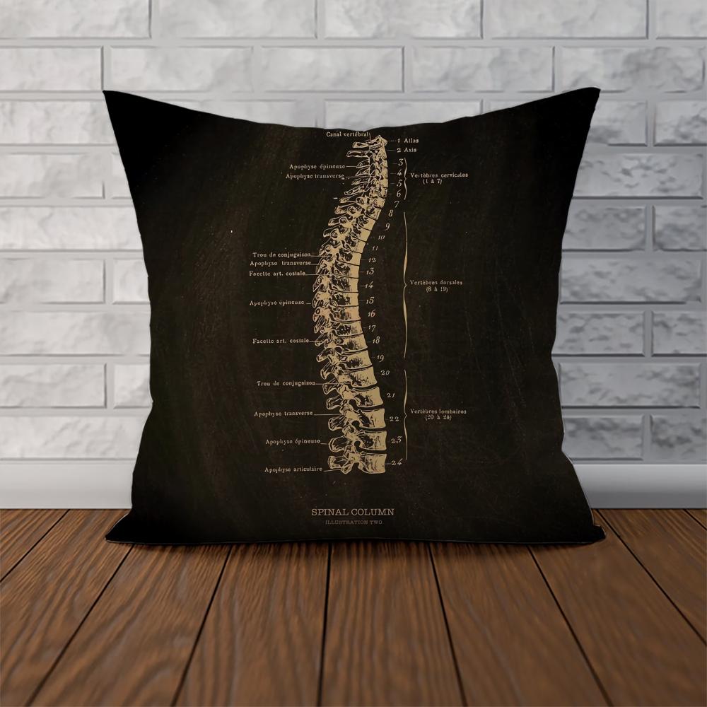 Anatomical Skeleton Pillow Case For Car Sofa Decorative Home Doublesided Print Plush Square Throw Pillow Cushion Cover