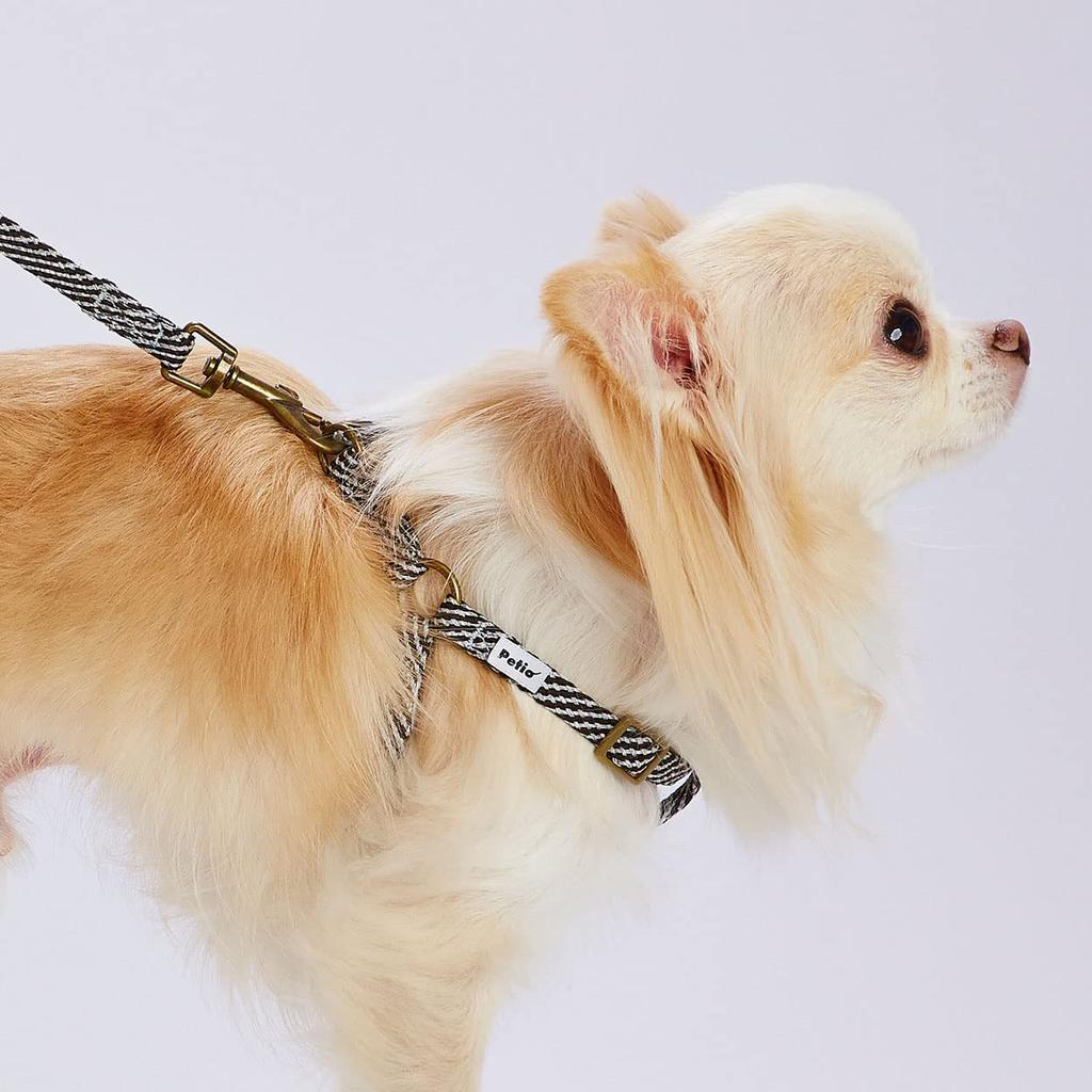 Petio Flash Soft Harness for Size Black Dogs, SS,