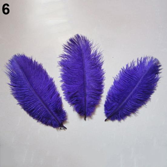 15 Pcs Natural Ostrich Feathers Colored Soft Feather for Clothes Wedding Decor