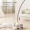 Retractable Cat Teaser Rod with Feather - Bite-Resistant Kitten Toy for Self-Play