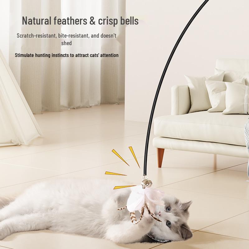 Retractable Cat Teaser Rod with Feather - Bite-Resistant Kitten Toy for Self-Play