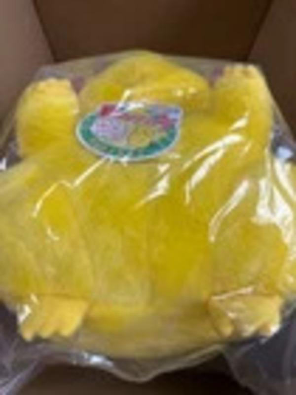 Pokemon 30th Anniversary Welcome Back! Pikachu Plush 1/1 Size h 15.7 in