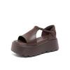 French Simple Open-toed Sandals Women's Outer Wear 2025 Summer New Thick-soled Heightening Muffin Comfortable Roman Beach Shoes
