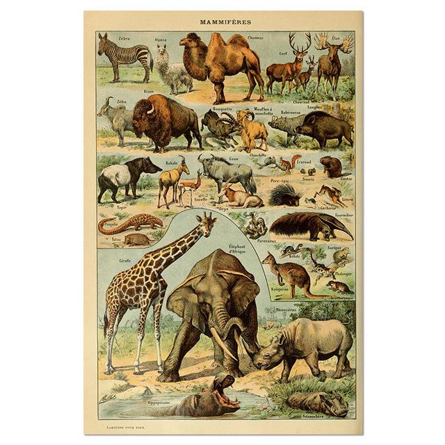 Vintage-Leinwandgemälde mit Gemüse, Früchten, Pilzen, antike Wandkunst, botanische Bilder, wissenschaftliche Poster und Drucke, Heimdekoration