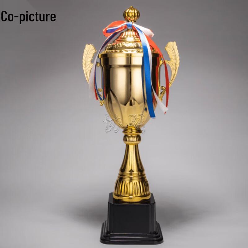 Metal Competition Award Trophy